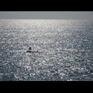 … und mit ihnen traut man sich aufs offene Meer